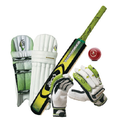 Cricket Image