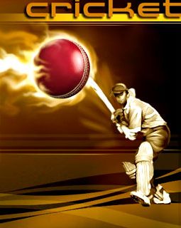 Cricket