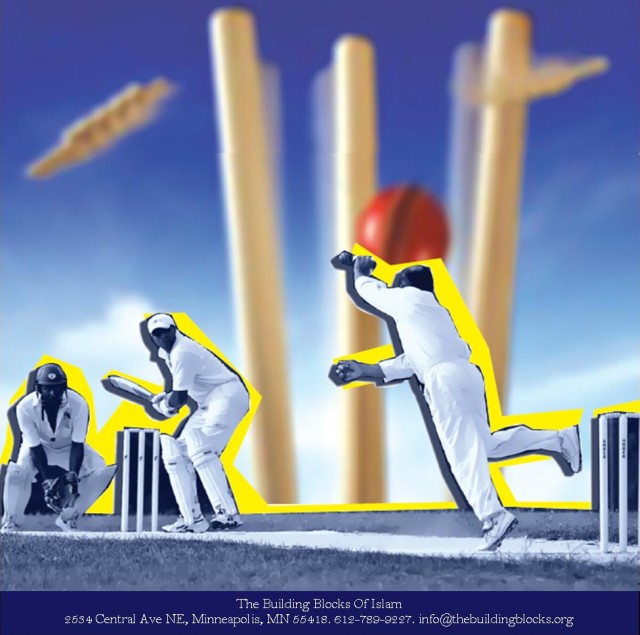 Cricket